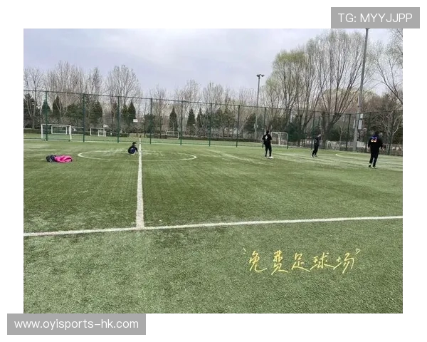 南宫体育公园周边休闲娱乐与运动设施综合发展规划探索